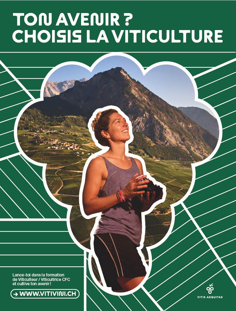 Flyer-Vitivini-Ton-avenir-Choisir la viticulture.jpg